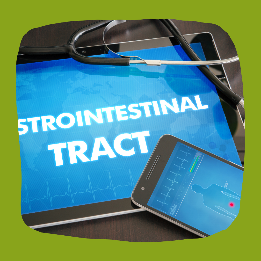 La magia de los probióticos en trastornos gastrointestinales